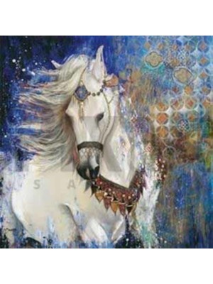 Pix Art Sanat Süslü At  Pixart Sanat Elmas Mozik Tablo Daimond TÜRKIYE58*58
