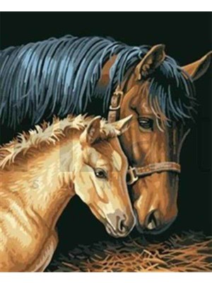 Pix Art Sanat Yavru At ve Annesi Pixart Sanat  Elmas Mozaik Tablo Diamond Türkiye  52*66