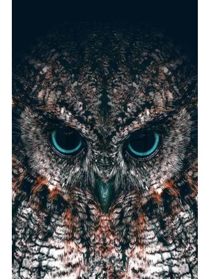 PixArt Baykus 40 x 60 Elmas Mozaik Tablo