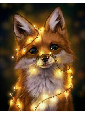 PixArt Isıklar Ve Tilki 50 x 50 Elmas Mozaik Tablo