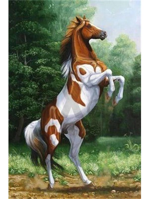 Pix Art Sanat Şahlanış  Pixart  Sanat  Elmas Mozaik Tablo Diamond Türkiye  43*63