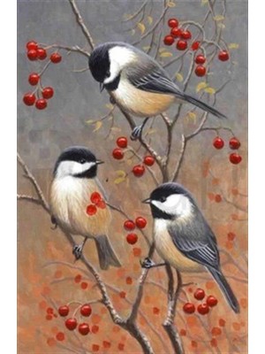 Pix Art Sanat Kırmızı Meyve Ağacındaki Minik Kuşlar  Pixart Sanat Elmas Mozik Tablo Daimond Türkiye 45*68