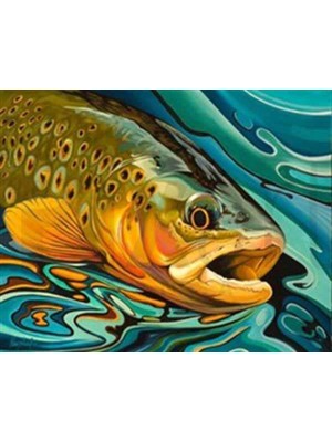 Pix Art Sanat Kayıp Balık Pixart Sanat Elmas Mozik Tablo Daimond Türkiye 68*53