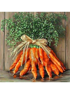 Havuçlar Pixart Sanat Elmas Mozaik Tablo Diamond Türkiye 41*41