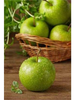 PixArt Yesil Elmalar 38 x 51 Elmas Mozaik Tablo