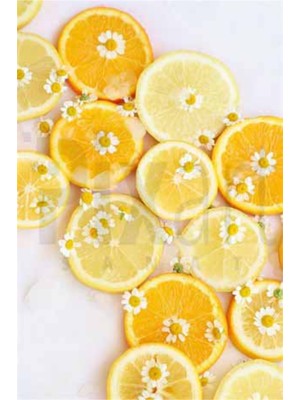 PixArt Limon Dilimleri 40 x 60 Elmas Mozaik Tablo