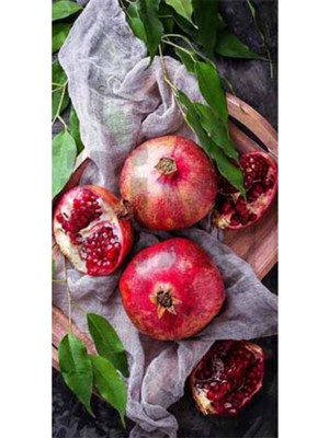 PixArt Narlar 51 x 81 Elmas Mozaik Tablo