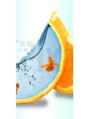 PixArt Portakal Kabugu Ve Japon Baligi 33 x 51 Elmas Mozaik Tablo