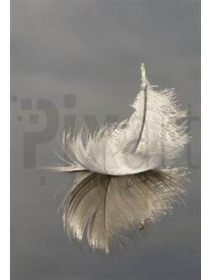 Pix Art Sanat Kuş Tüyü Pixart Sanat Elmas Mozaik Tablo Diamond Türkiye 40*55