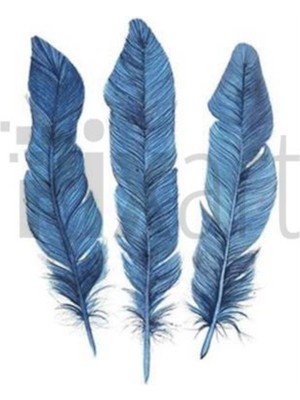 Pix Art Sanat Mavi Renkli Tüyler Pixart Sanat Elmas Mozaik Tablo Diamond Türkiye 48*63