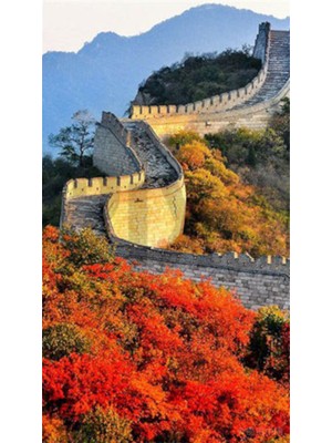 PixArt Cin Seddi 37 x 69 Elmas Mozaik Tablo