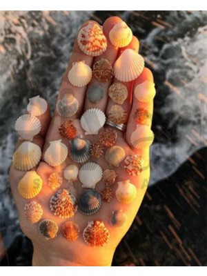 PixArt Deniz Kabuklari 40 x 50 Elmas Mozaik Tablo