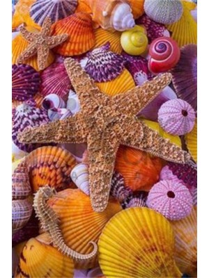 Pix Art Sanat Renkli Deniz Kabukları ve Yıldızı Pixart Sanat  Elmas Mozaik Tablo Diamond Türkiye   38 x 56 cm
