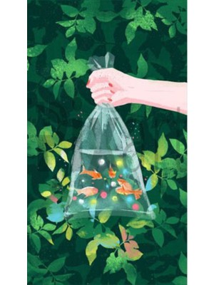 PixArt Turuncu Baliklar 40 x 60 Elmas Mozaik Tablo