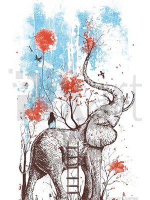 PixArt Fil Ve Uzak Dogu 40 x 60 Elmas Mozaik Tablo