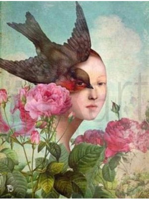 Pix Art Sanat Kız ve Kuş Gözü Pixart Sanat Elmas Mozaik Tablo Diamond Türkiye 45*58