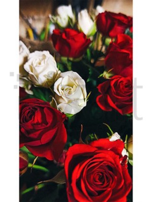 PixArt Kirmizi Beyaz Guller 36 x 71 Elmas Mozaik Tablo