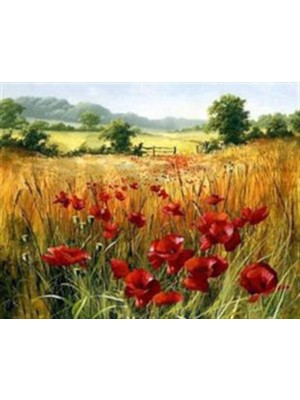 Pix Art Sanat Gelincik Tarlası    Pixart Sanat Elmas Mozaik Tablo Diamond Türkiye 73*58