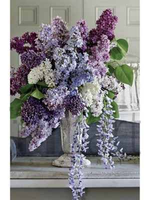 PixArt Beyaz Saksida Sumbuller 46 x 66 Elmas Mozaik Tablo