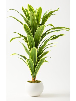 Yapay Dracaena Fragrans 100 cm