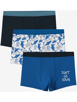 Lc Waikiki Yeni Sezon Baskili Erkek Cocuk Boxer 3'lu - S5FP33Z4