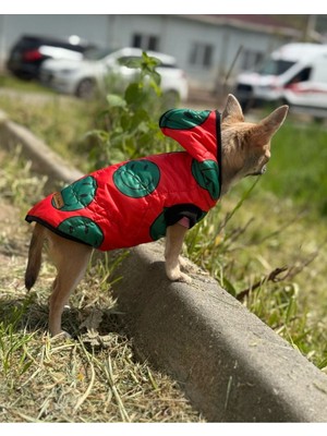 Patilinka Kedi Köpek Kışlık Kıyafet – Mutlu Şişme Yelek Mont