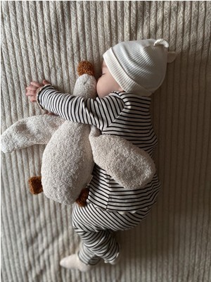 Bohemoon Elite Sevimli Ördek Teddy Bebek Peluş Uyku Arkadaşı Krem/camel Yumuşak Dokulu
