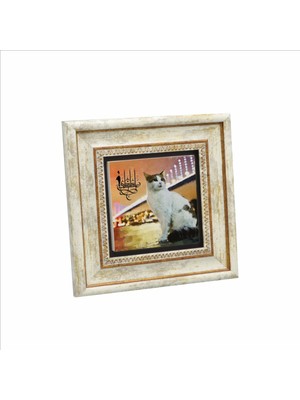 Istanbul Kedisi Baskılı Doğaltaş Tablo 20X20 Krt-64