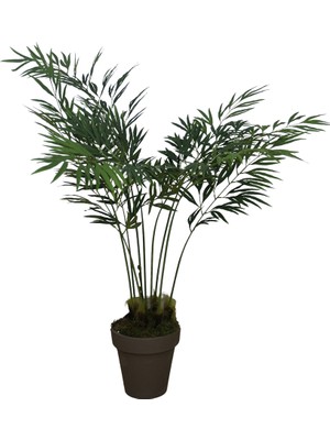Bambu Palmiye Ağacı 165 cm
