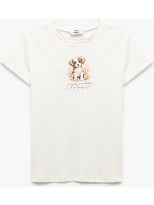 Koton TSHIRT SS
