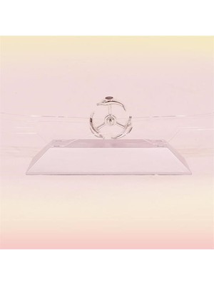 Dekoratif Masa Üstü Obje Manyetik Kinetik Orbital Dönen Yunuslar