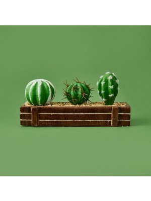 Mini Kasada Kaktüs - Kahverengi - 8X21 cm