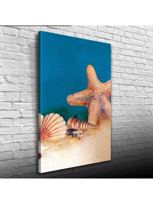 Deniz Yıldızı ve Istiridye Kanvas Tablo 50 x 70