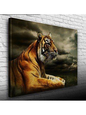 Çimenlerde Uzanan Kaplan Kanvas Tablo 50 x 70