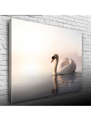 Göldeki Kuğu Kanvas Tablo 50 x 70