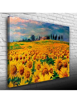 Ayçiçeği, Gündöndü, Günebakan Tarlası Kanvas Tablo 50 x 70