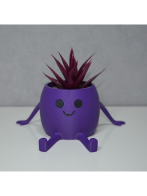 Rmys 3D Oturan Mini Saksı Mor