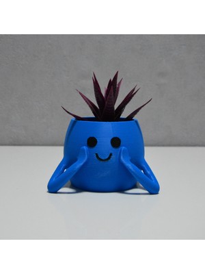 Rmys 3D Neşeli Mini Saksı Lacivert