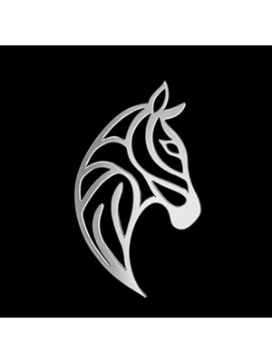 TabiTela 925 Ayar gümüş kolye zebra SM5855