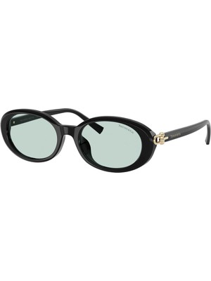 Tıffany & Co 0TF4242D 8001D9 54