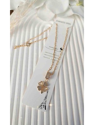 Çelik Zirkon Taşlı Ajda Charmlı Kolye 14K Görünümlü