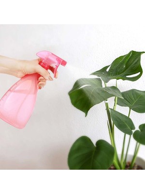 2 Sprey Modlu Mutfak Banyo Bitki Bakımı Için Çok Amaçlı Spreyli Şişe 700 ml
