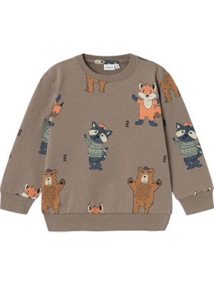 Erkek Çocuk Sweatshirt 13233714