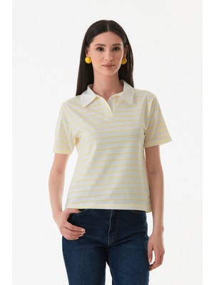 Çizgili Polo Yaka Tişört