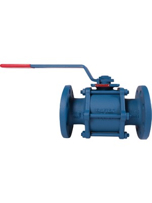 Küresel Vana Tg Pn 16 Dn  80
