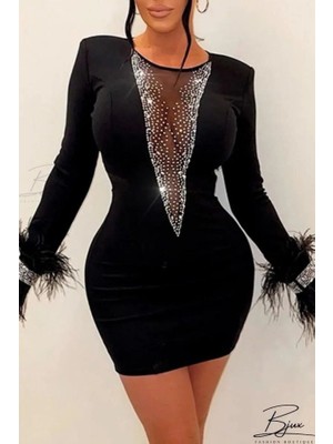 Trend Befaon Kadın Dalgıç Kumaş Tül ve Taş Aksesuarlı Kolları Tüylü Mini Boy Elbise
