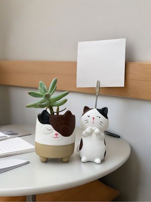 Perazayn Elite Utangaç Kedi Temalı Not Tutucu ve Kedi Saksı Seti Hediyelik Ofis Seti 1 Adet