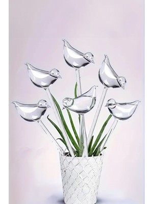 Elite 2 Adet Otomatik Çiçek Sulama ve Ev Bahçe Araçları Için Kuş Şekilli Kendinden Sulama Küreleri 1 Adet