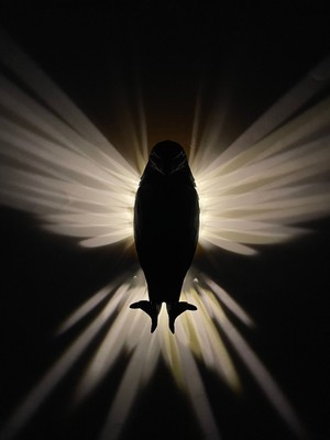 Pilli LED Siyah Kartal Aplik Özel 3D Üretim Gün Işığı Lamba Kartal