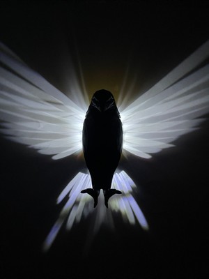 Pilli LED Siyah Kartal Aplik Özel 3D Üretim Beyaz Lamba Kartal